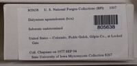 Image Associated With the Occurence